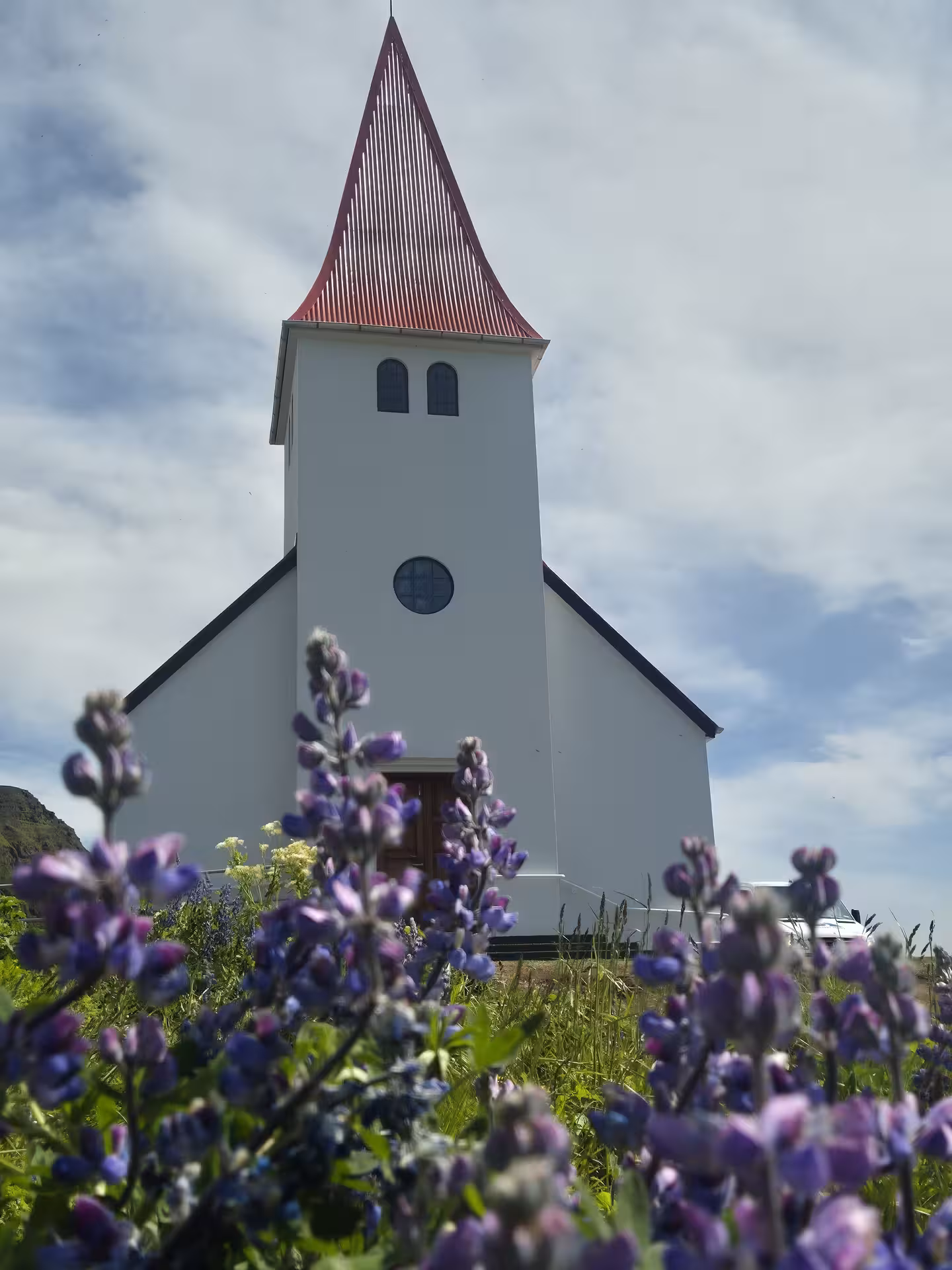 White church with red steeple surrounded by purple lupine flowers on Iceland's South Coast