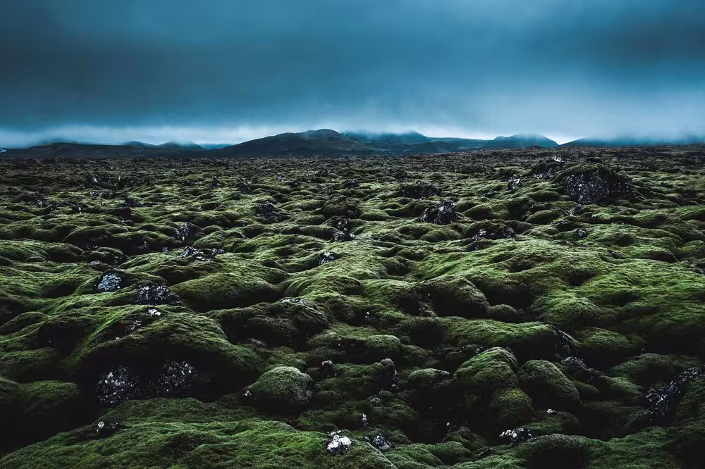 Vast moss-covered lava fields under dramatic stormy skies on Iceland's South Coast