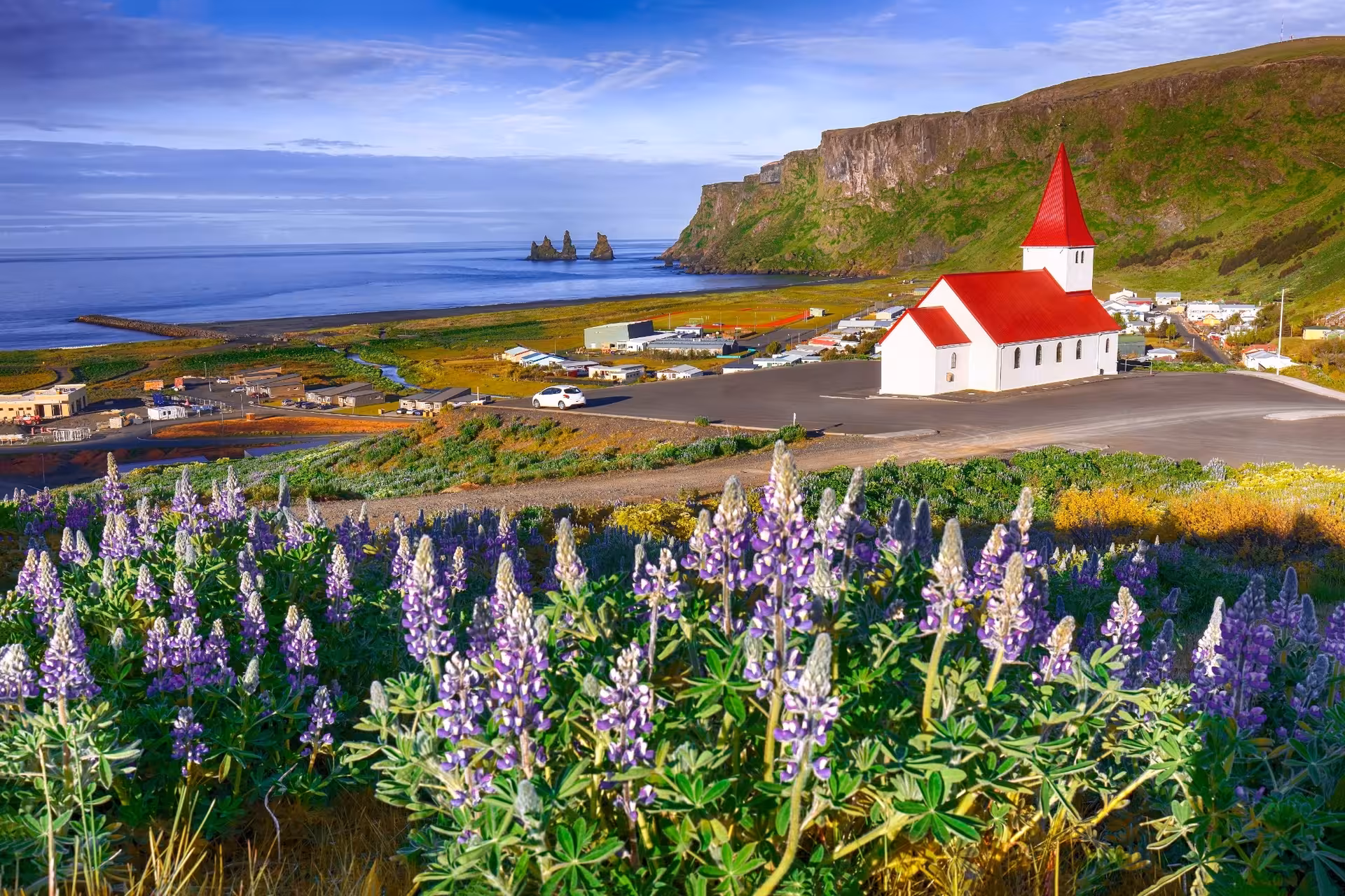 Red-roofed church in Vík village with lupine flowers, black sand beach, and sea stacks on Iceland's south coast