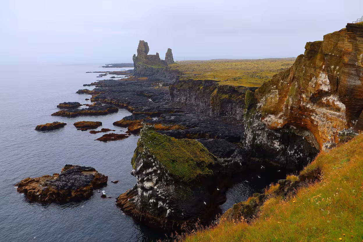 Dramatic volcanic cliffs and sea stacks along Iceland's rugged South Coast shoreline under overcast skies