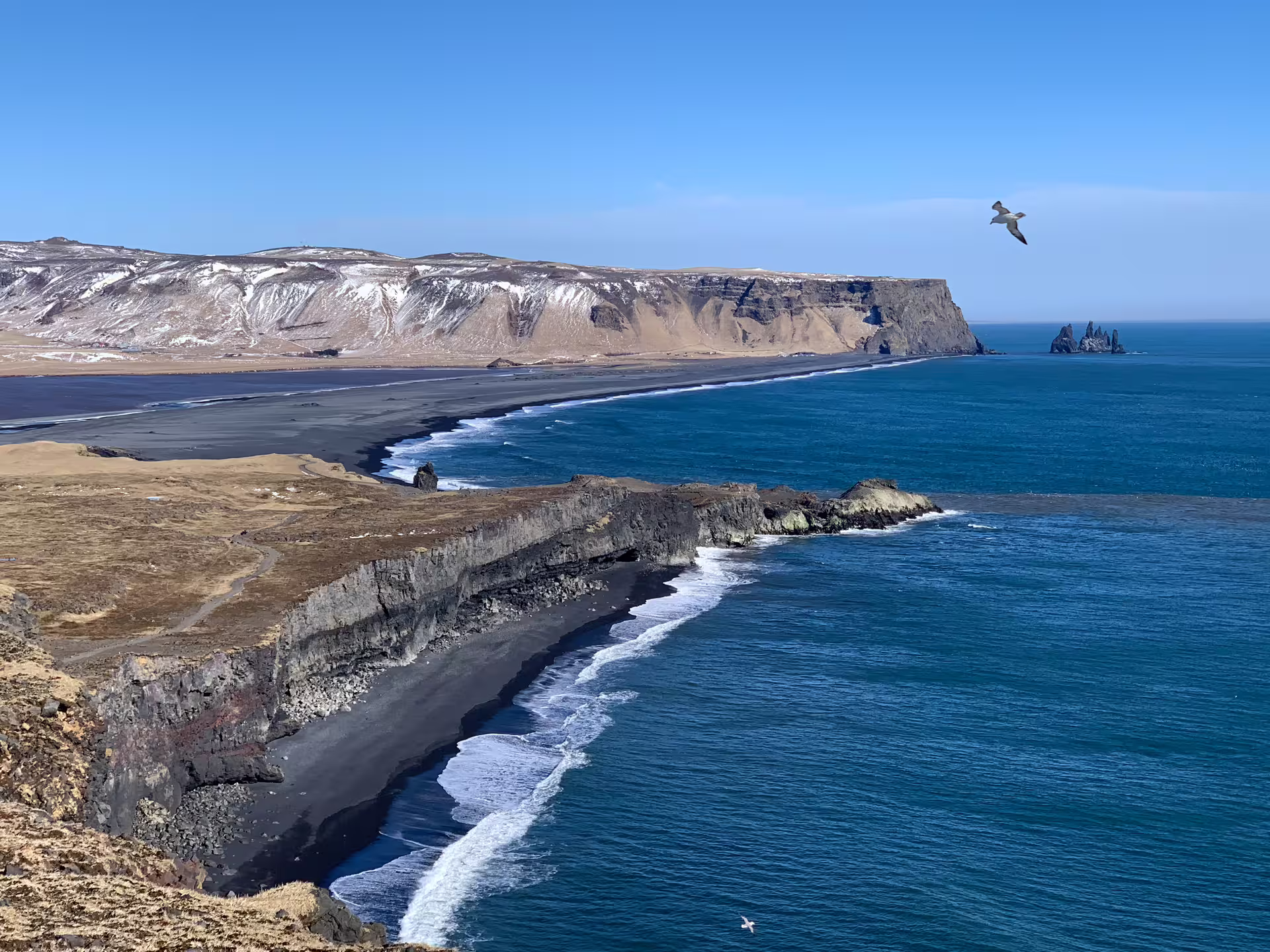 Black sand beach and volcanic cliffs along Iceland's south coast with sea stacks and snow-capped mountains