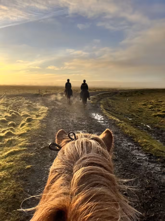 Riders on Icelandic horses trekking across vast Viking landscapes at golden sunset on a guided tour