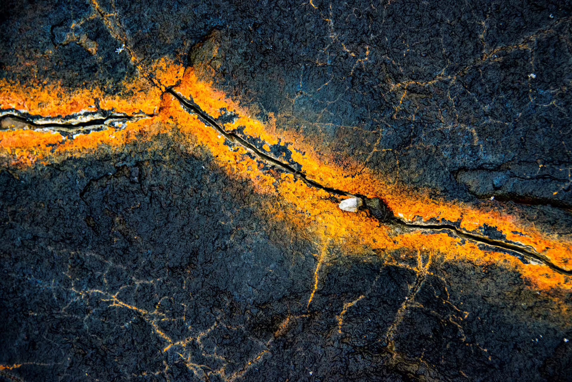Close-up of dark volcanic rock with vivid orange lichen streaking through deep cracks in Iceland