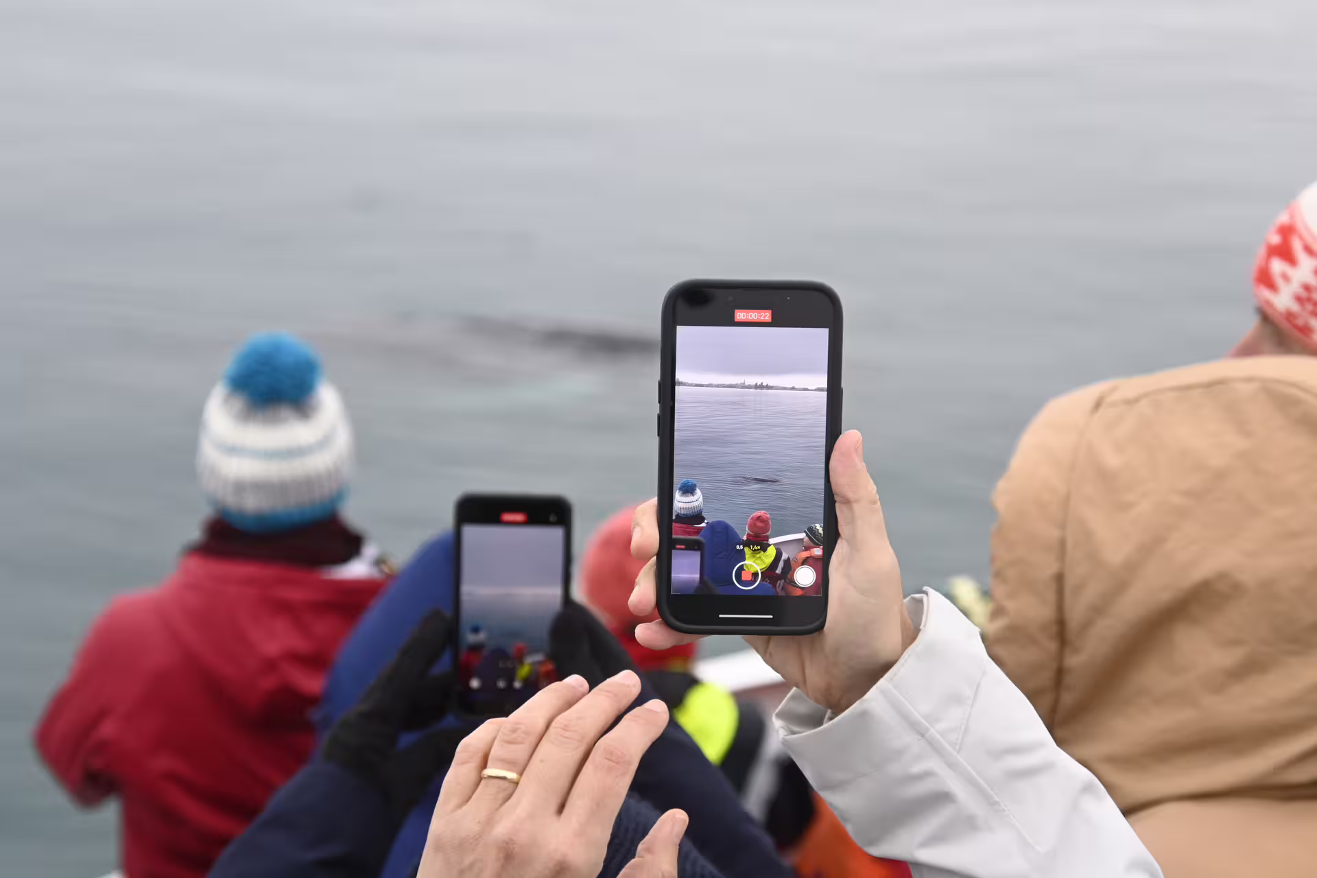 Tourists photographing a whale surfacing on Iceland whale watching boat tour