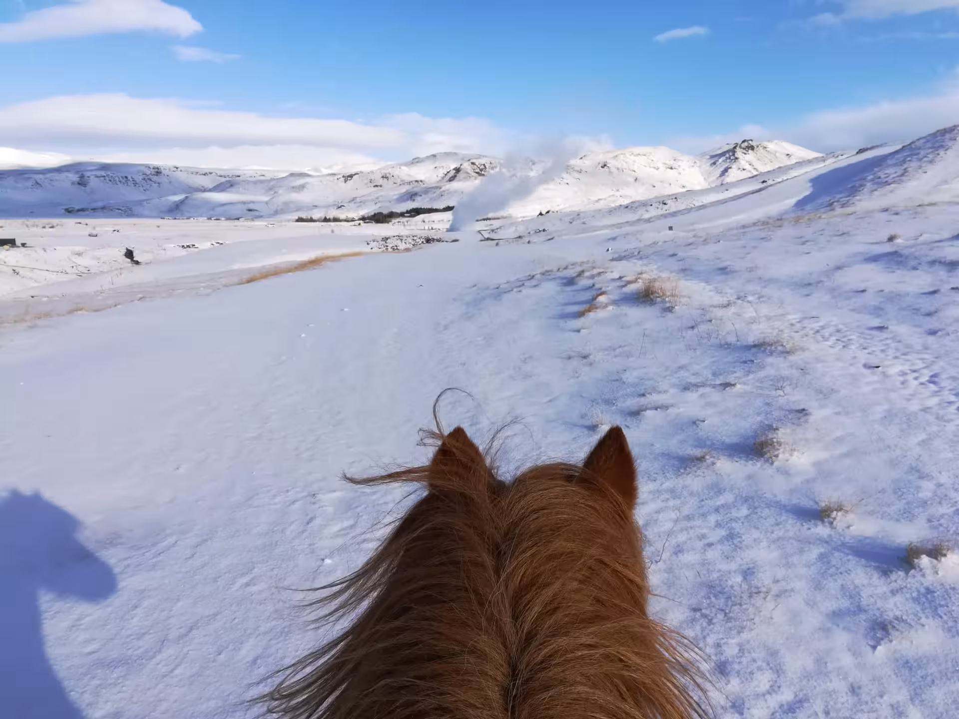 View from horseback across snowy Icelandic landscape with steam plume, winter riding and relaxation tour 05C