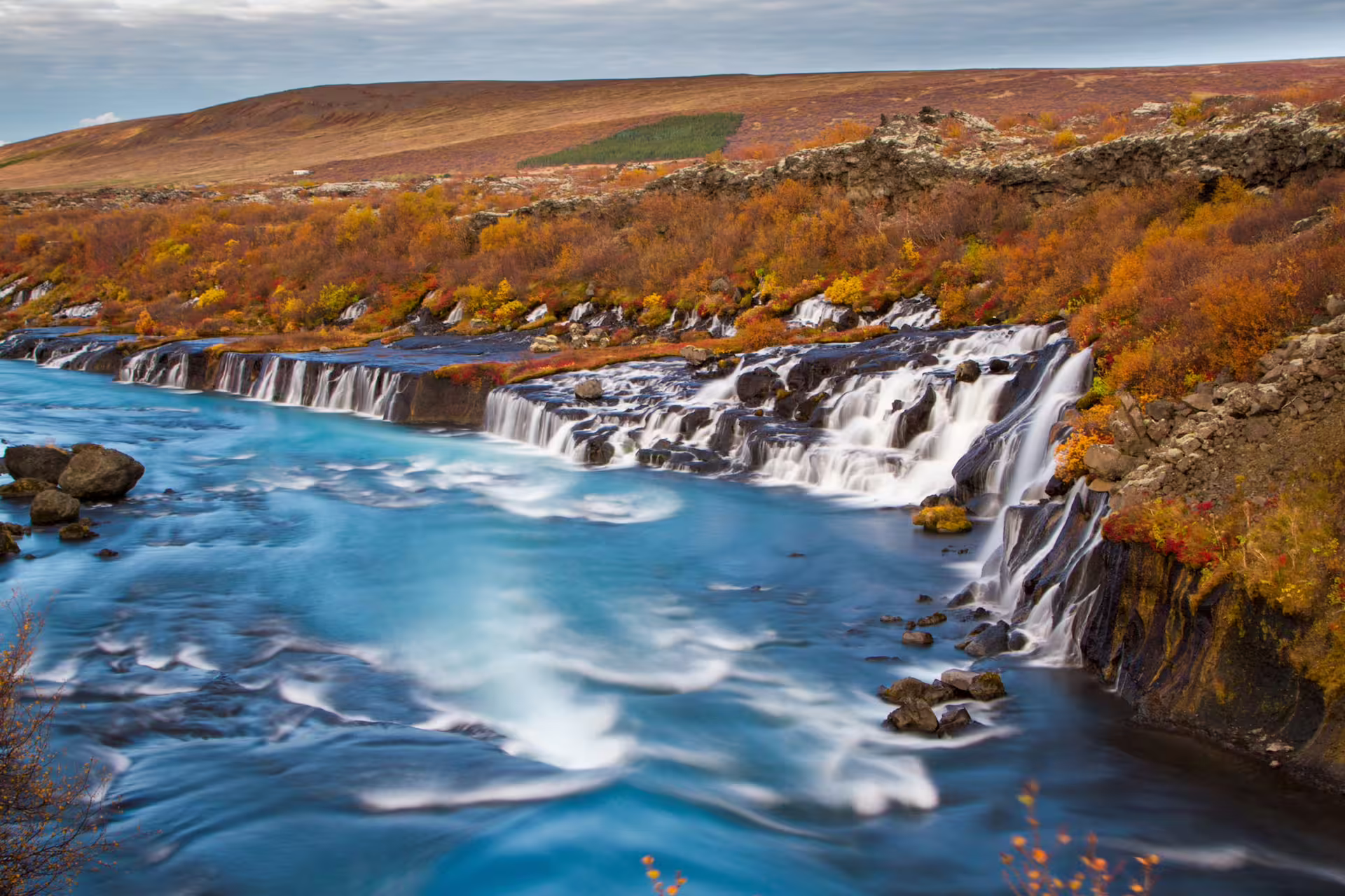 Hraunfossar waterfall cascading into vivid blue river surrounded by autumn foliage in Iceland