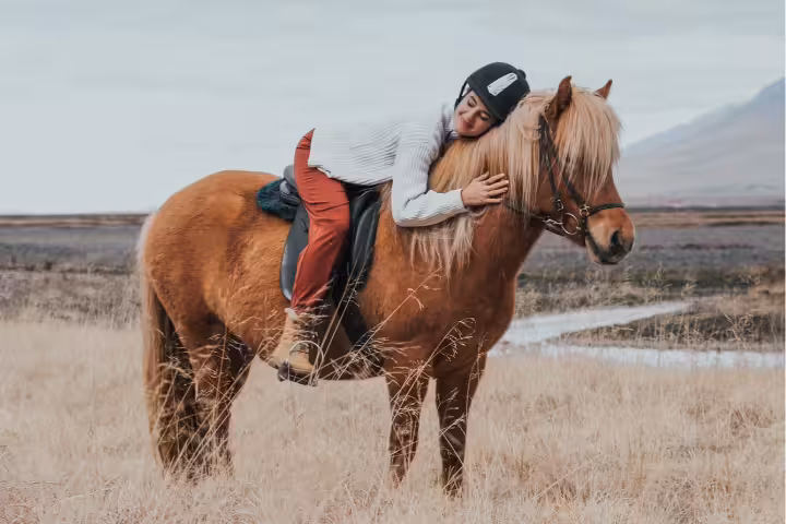Person hugging a chestnut Icelandic horse while riding in a dry grassy field in North Iceland
