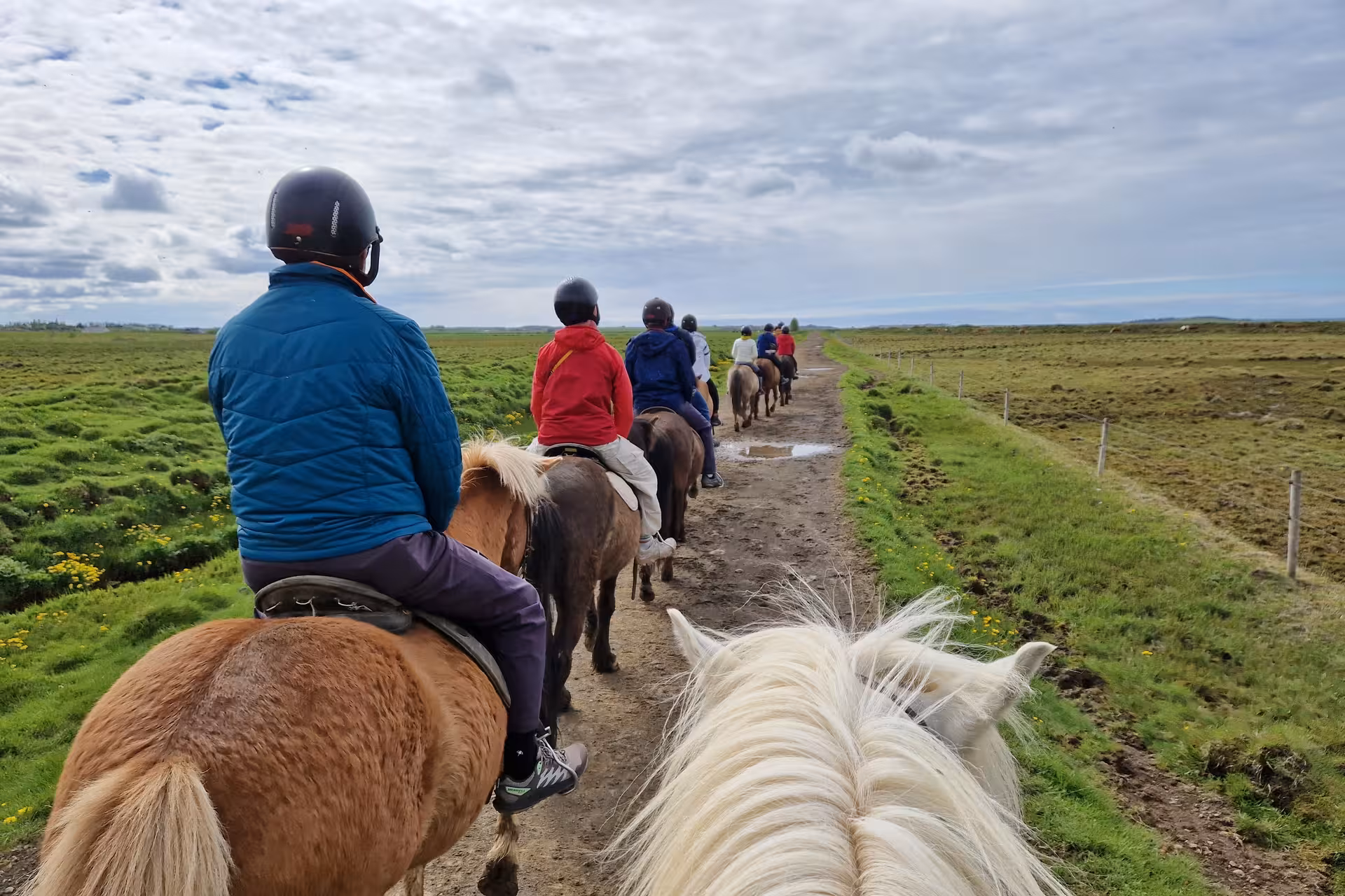 Group of tourists on Icelandic horses riding single file along a green countryside trail under cloudy skies