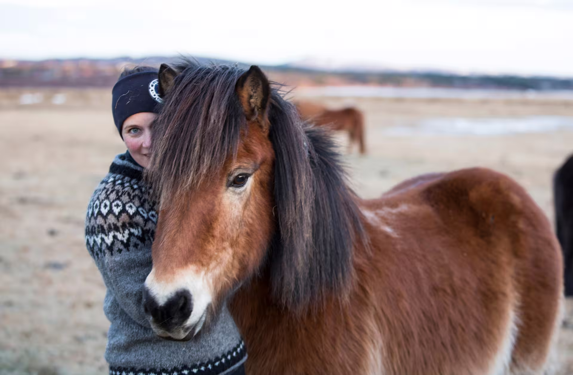 Woman in Nordic sweater hugging a brown Icelandic horse on a winter beach near Reykjavik