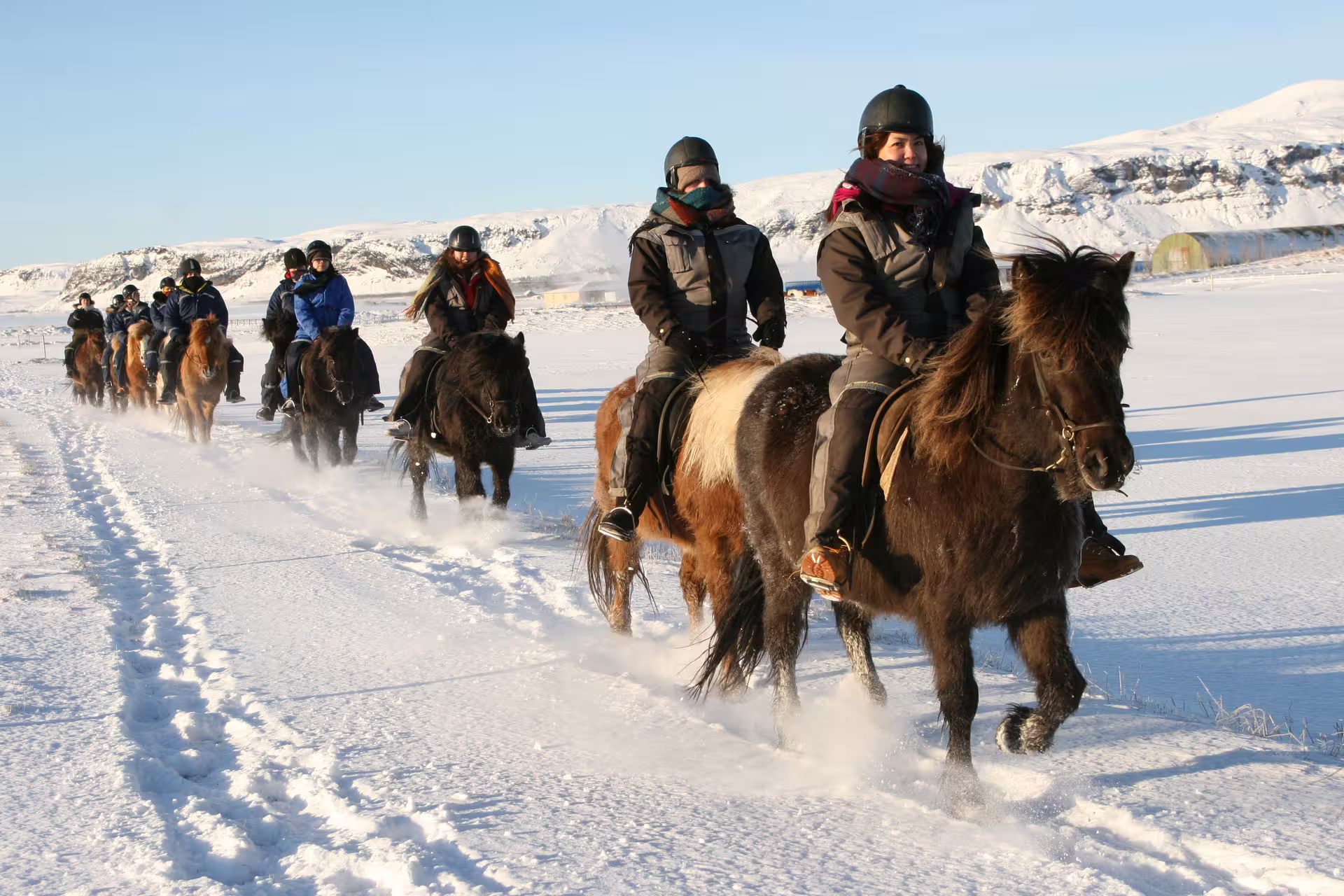 Group of riders on Icelandic horses trotting through snowy winter landscape near Reykjavik