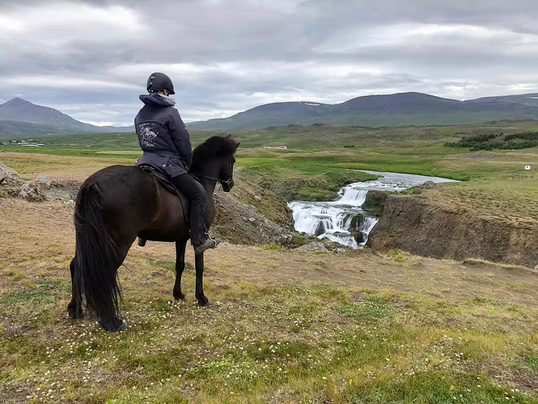 Rider on black Icelandic horse overlooking a cascading waterfall in Skagafjordur Iceland
