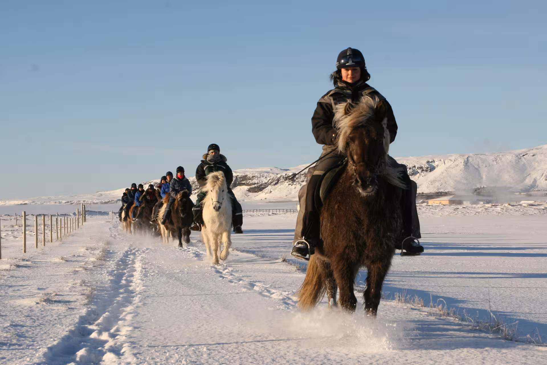 Winter Icelandic horse riding tour across snowy plains with mountain views, 02G Icelandic Diversity experience