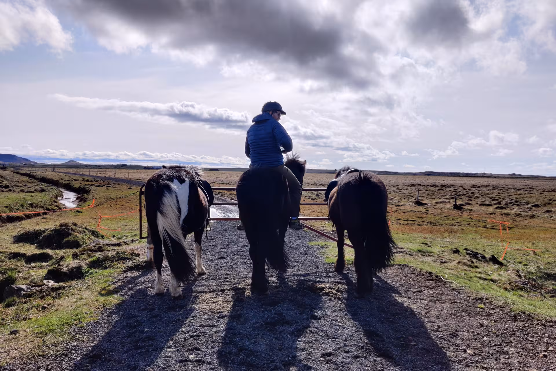 Rider on Icelandic horse crossing a farm gate during a scenic guided horseback tour through Iceland lava fields