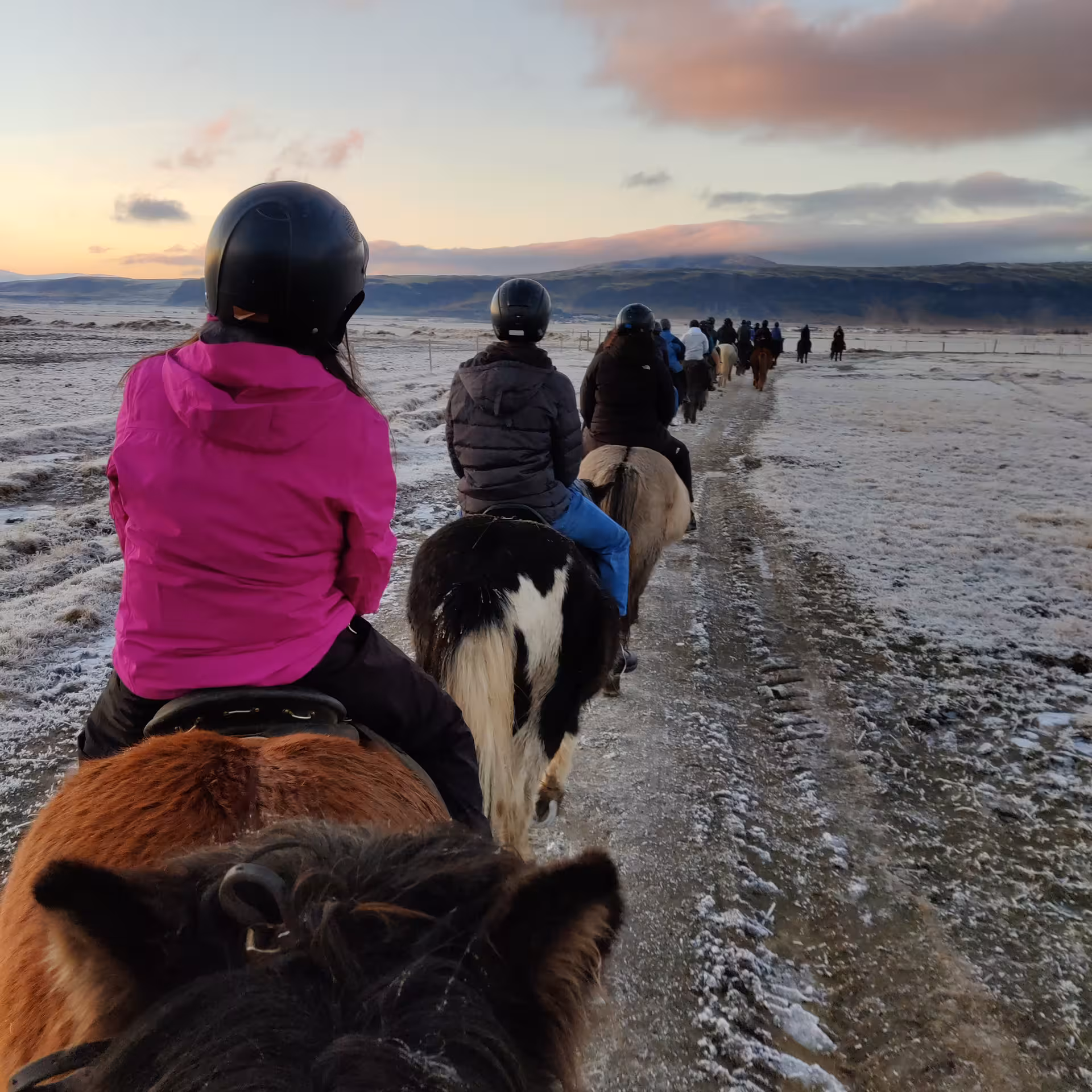Group of riders on Icelandic horses trekking through snowy lava fields at golden sunset in Iceland