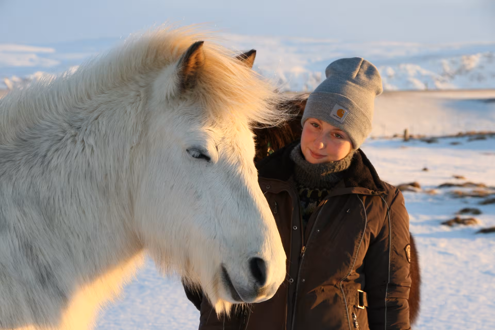 Close-up of a white Icelandic horse with young rider in snowy countryside, authentic Countryside Charm experience