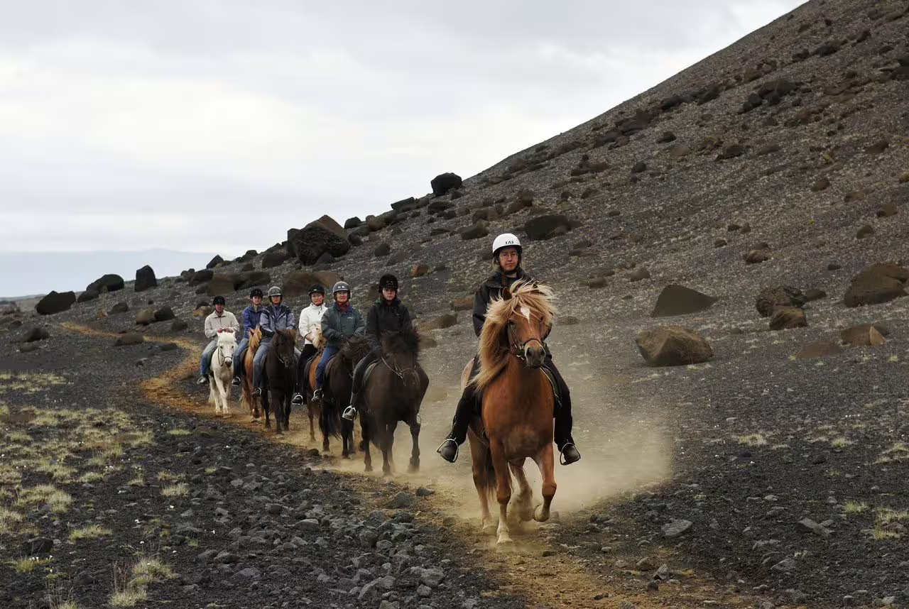 Group of riders on Icelandic horses trotting along a rocky volcanic trail near Reykjavik