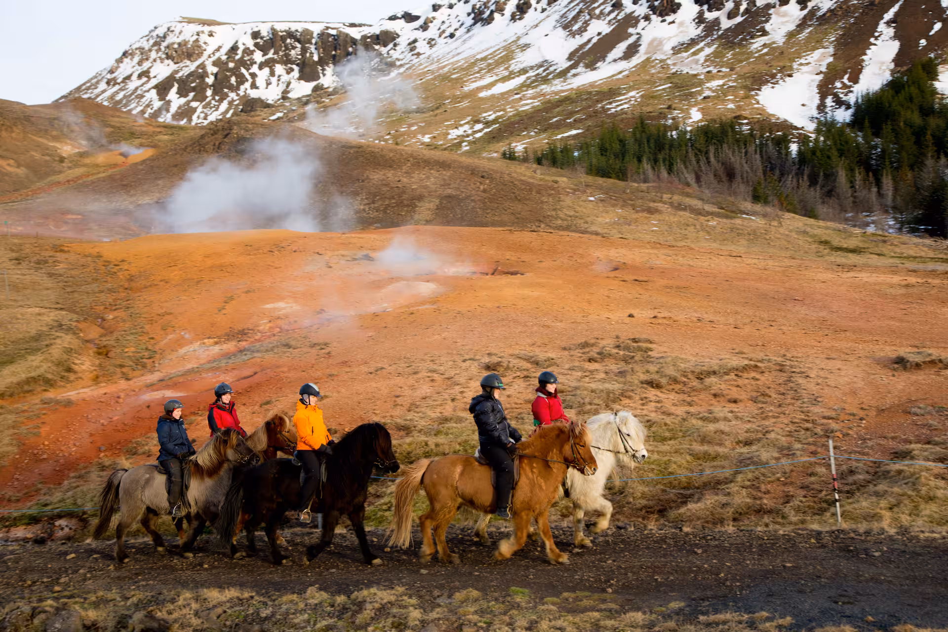 Riders on Icelandic horses pass steaming geothermal vents near hot springs on the 03C Horses and Hot Springs tour