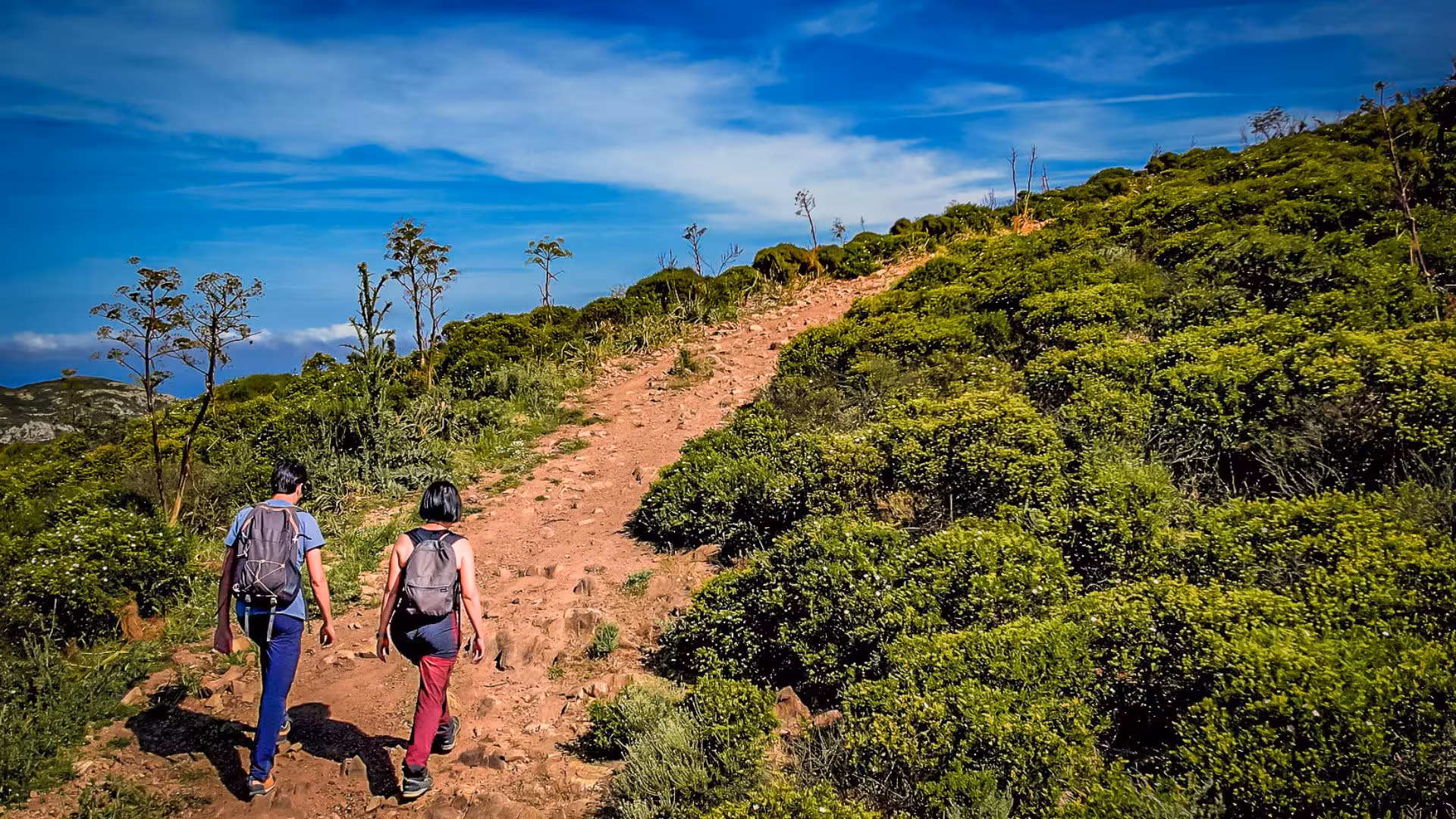 Two hikers exploring a rugged trail amidst vibrant greenery on an Iglesias jeep trekking adventure.