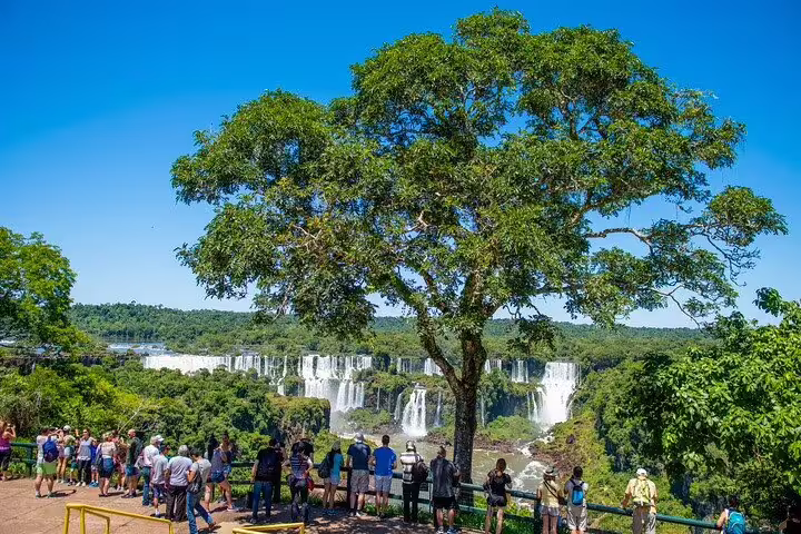 Tourists enjoying the panoramic view of Iguazu Falls from a lush viewpoint, ideal for a shared group tour experience.