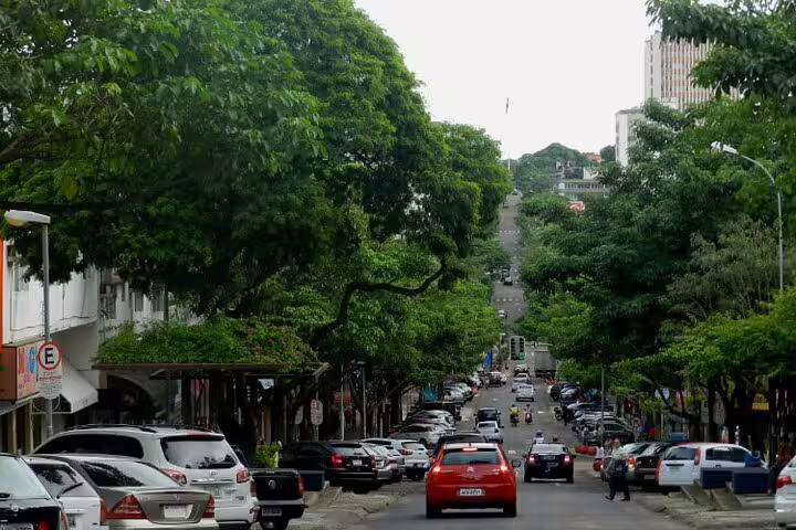 Lush green street view in Iguazu Falls city, bustling with cars, setting the perfect start for a 4-day guided tour.