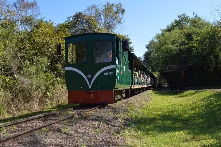 A green tourist train travels through lush forests on the Iguazu Falls guided tour, offering scenic views and easy access.