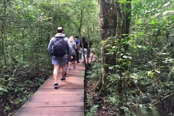 Tourists hike through lush rainforest trails in Iguazu National Park, experiencing Argentina's natural beauty.