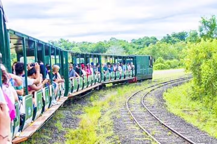 Tourists ride a scenic train through Iguazu National Park, offering views of lush landscapes on the Argentina-Brazil tour.
