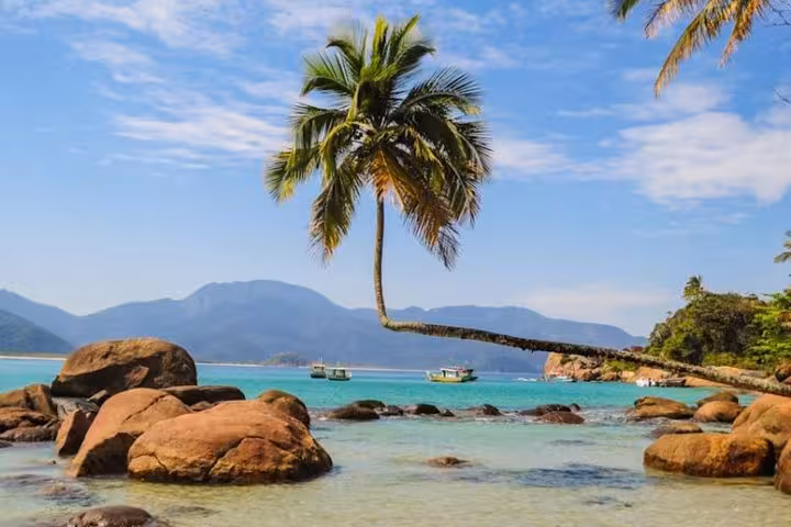 Scenic view of Ilha Grande's tropical beach with palm tree and azure waters, ideal for a serene getaway.