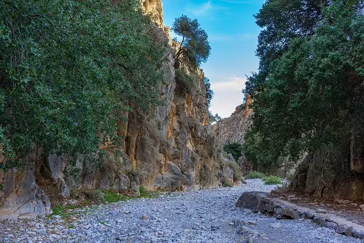 Scenic view of Imbros Gorge's rocky pathway surrounded by lush greenery, ideal for a private hiking adventure in Crete.