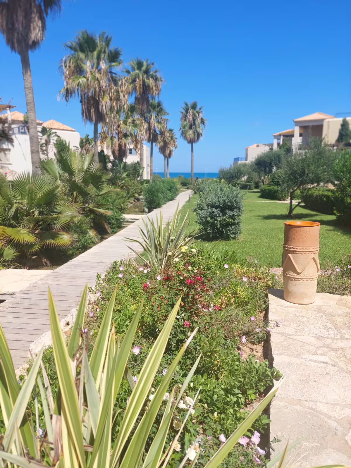 Lush tropical garden pathway leading to Infinity Night Villa, surrounded by vibrant flora and tall palm trees.