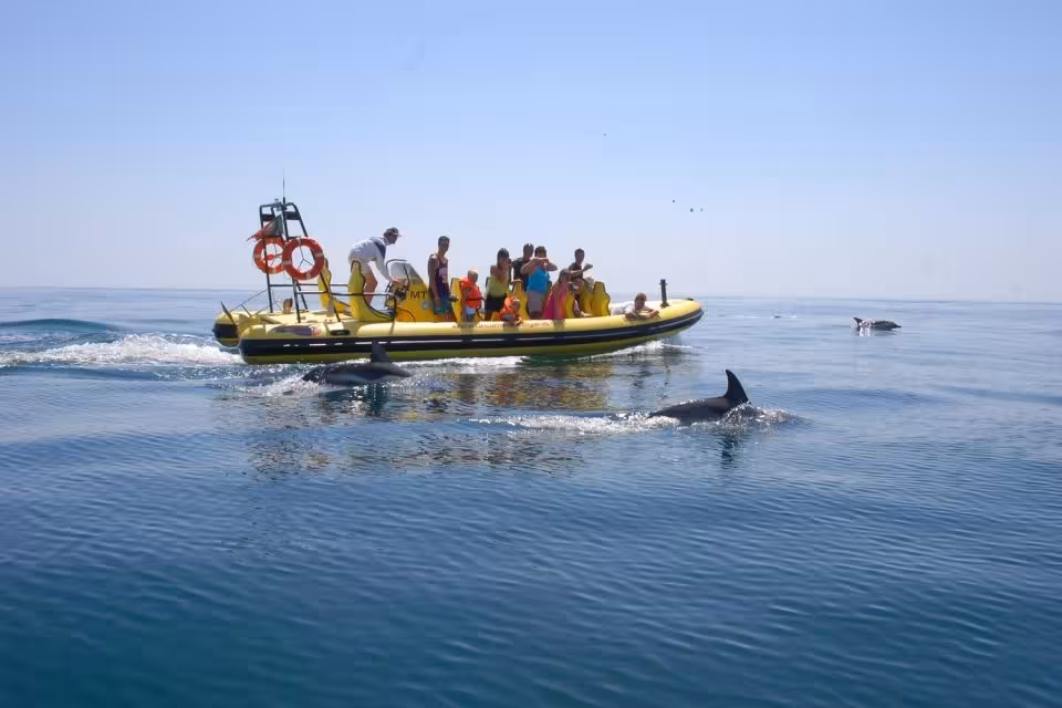 Tourists enjoy a thrilling dolphin watching experience from a yellow boat in calm, clear waters during Insonia tour.