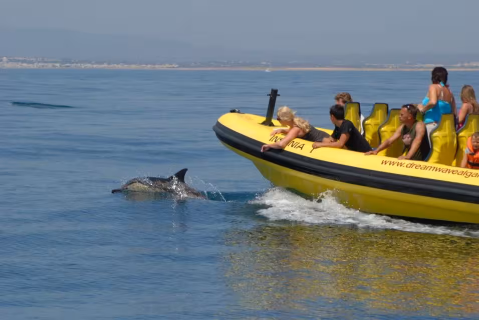 Tourists on a yellow Insonia boat watching a dolphin swim nearby during a scenic dolphin watching tour.