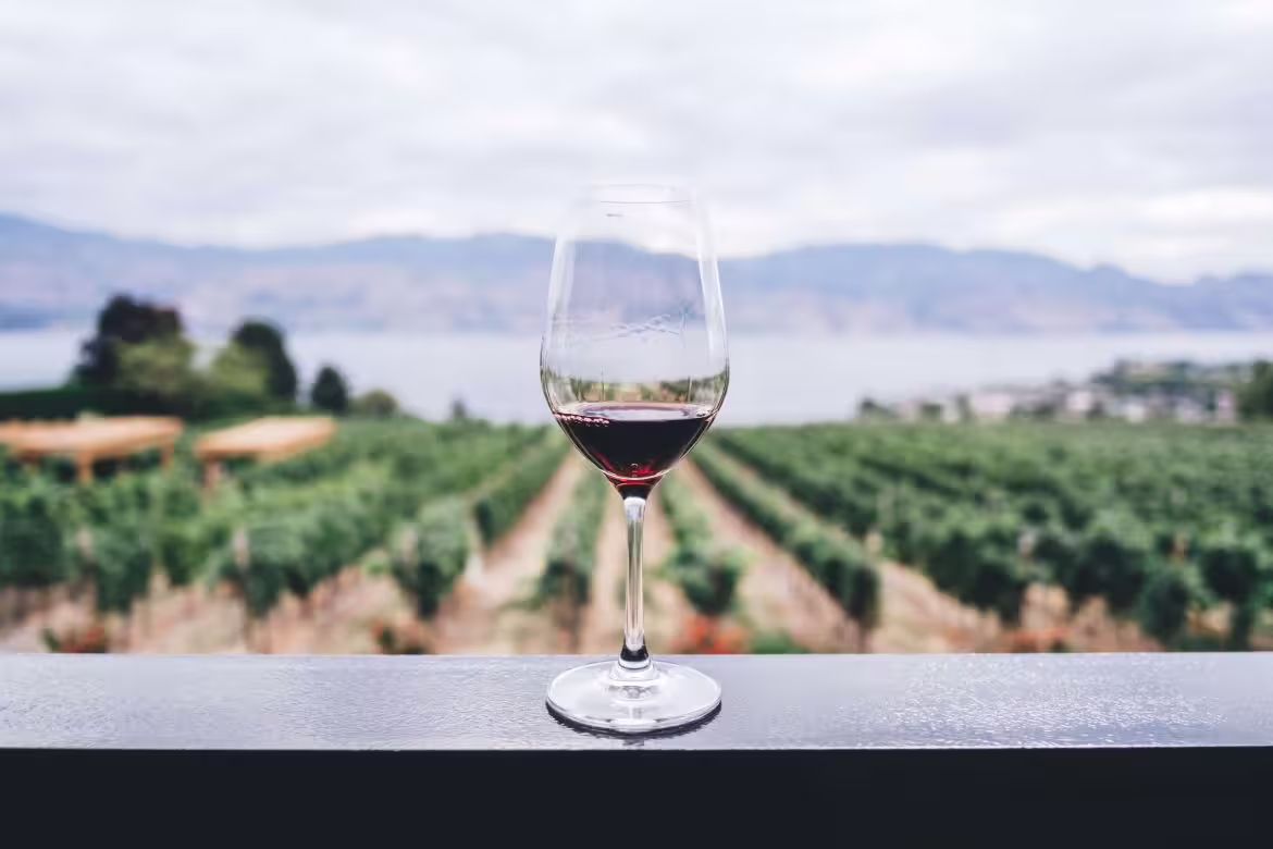Glass of red wine overlooking lush Irpinia vineyards and distant hills, highlighting scenic tasting views on the guided tour