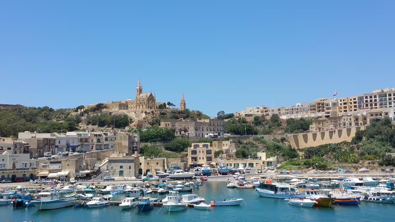 Sunny Mediterranean harbor with boats and historic hillside town visited on an Ischia & Procida full-day boat excursion from Sorrento