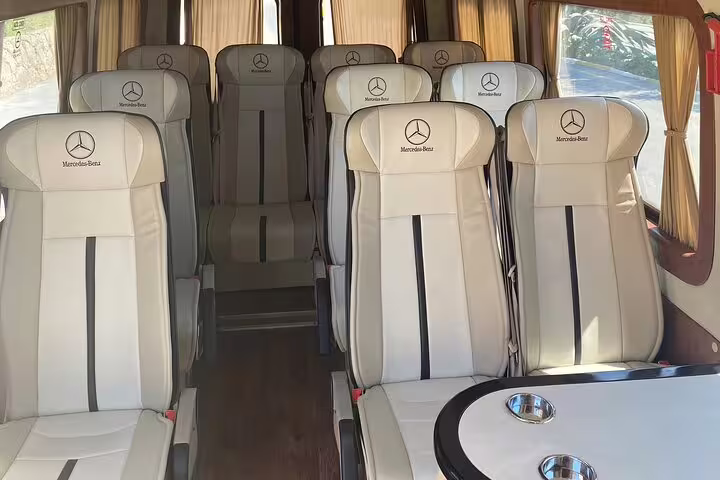 Luxury Mercedes minibus interior for Istanbul private or mini group shore excursion pickup from cruise port