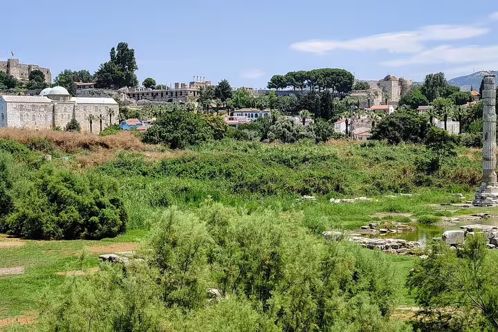 Panoramic view of Ephesus archaeological site and Selcuk landscape on Istanbul to Ephesus private tour with flights