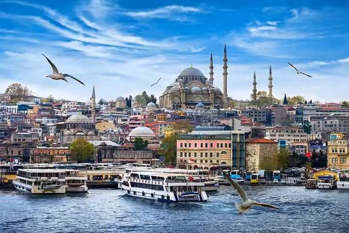 Golden Horn waterfront with Süleymaniye Mosque skyline, Istanbul shore excursion private tour from port
