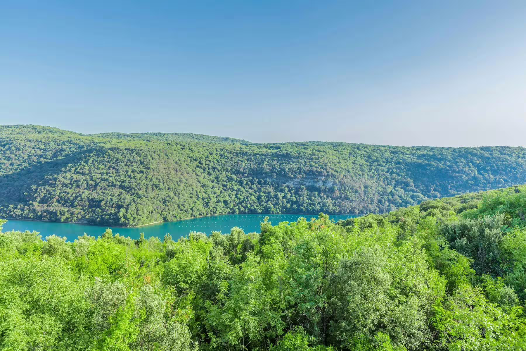 Panoramic Istrian coastline with turquoise bay and lush hills, scenic stop on Poreč boat cruise with BBQ