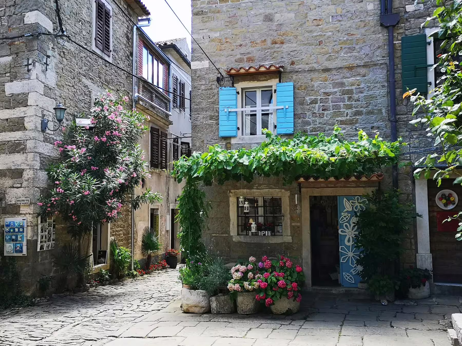 Charming Istrian hilltop village stone street with blue shutters and flowers, stop on local tasting tour