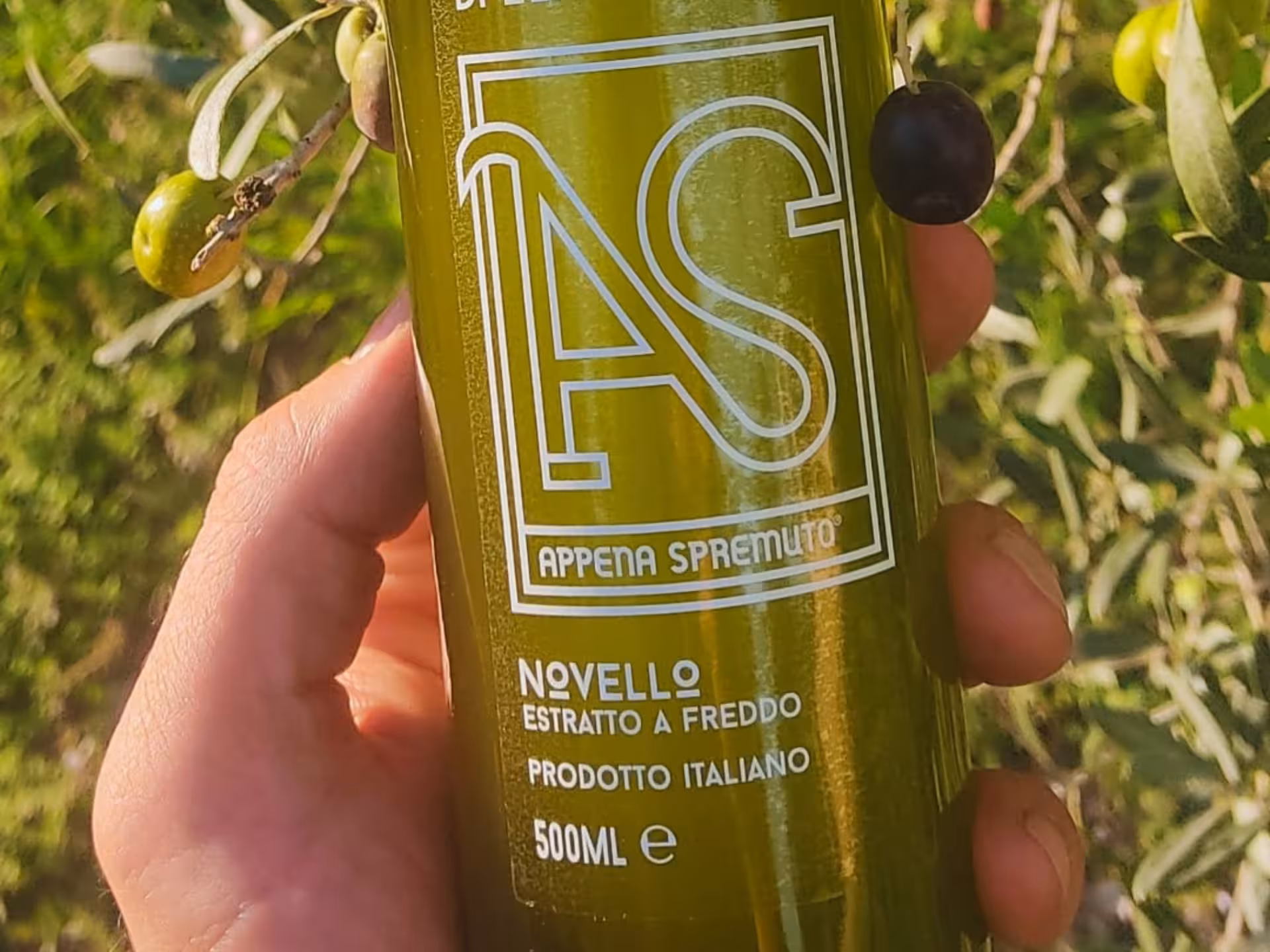 Hand holding a bottle of Italian cold-pressed olive oil with olive branches in Perugia.