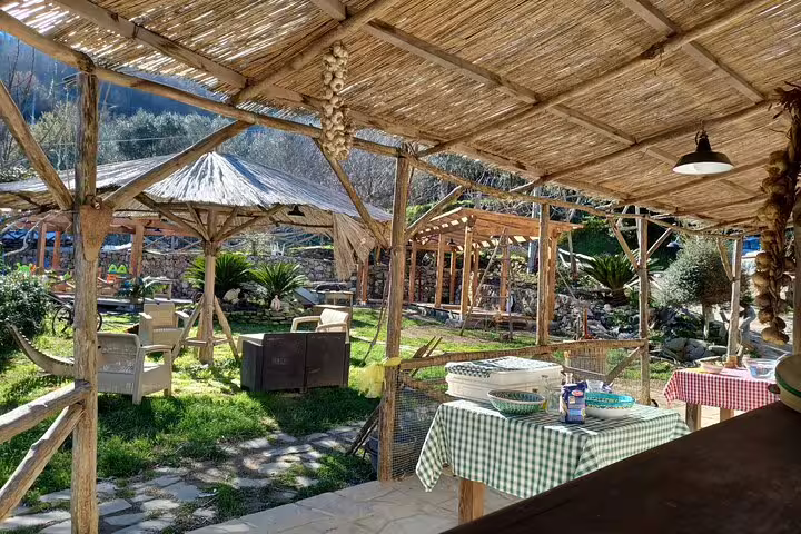 Rustic outdoor dining area on Italian farm tour for cheese and pizza making, with wine and limoncello tasting