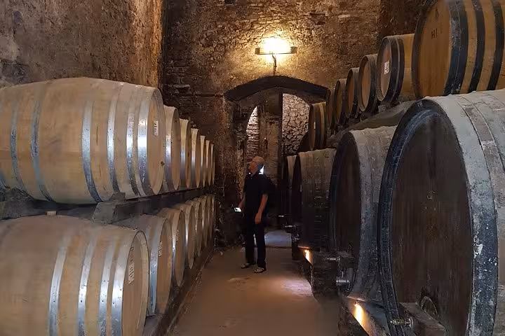 Wine cellar tour in Italy with oak barrels in a historic stone vault, tasting on 10-day Rome to Venice trip