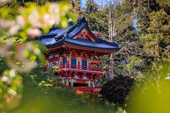 Red Japanese pagoda surrounded by lush greenery in Golden Gate Park San Francisco