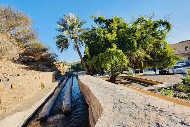 Experience serene water channels and vibrant greenery in Jebel Akhdar's Al Suwjara Village on an exclusive private tour.