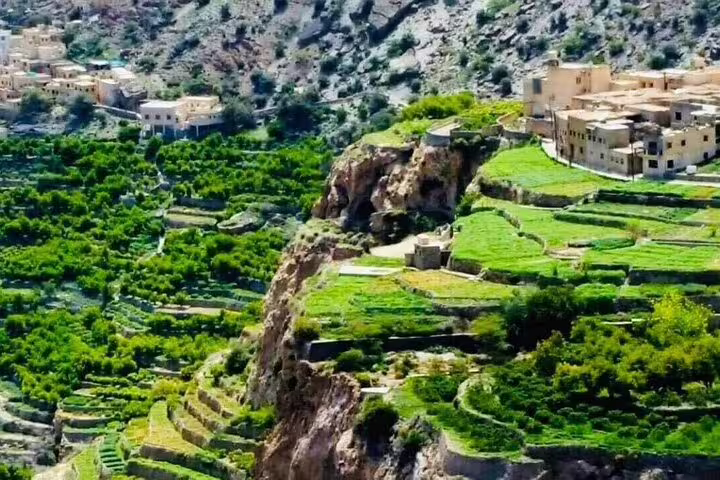Discover the lush, terraced landscapes of Jebel Akhdar with stunning views of Al Suwjara Village on a guided private tour.