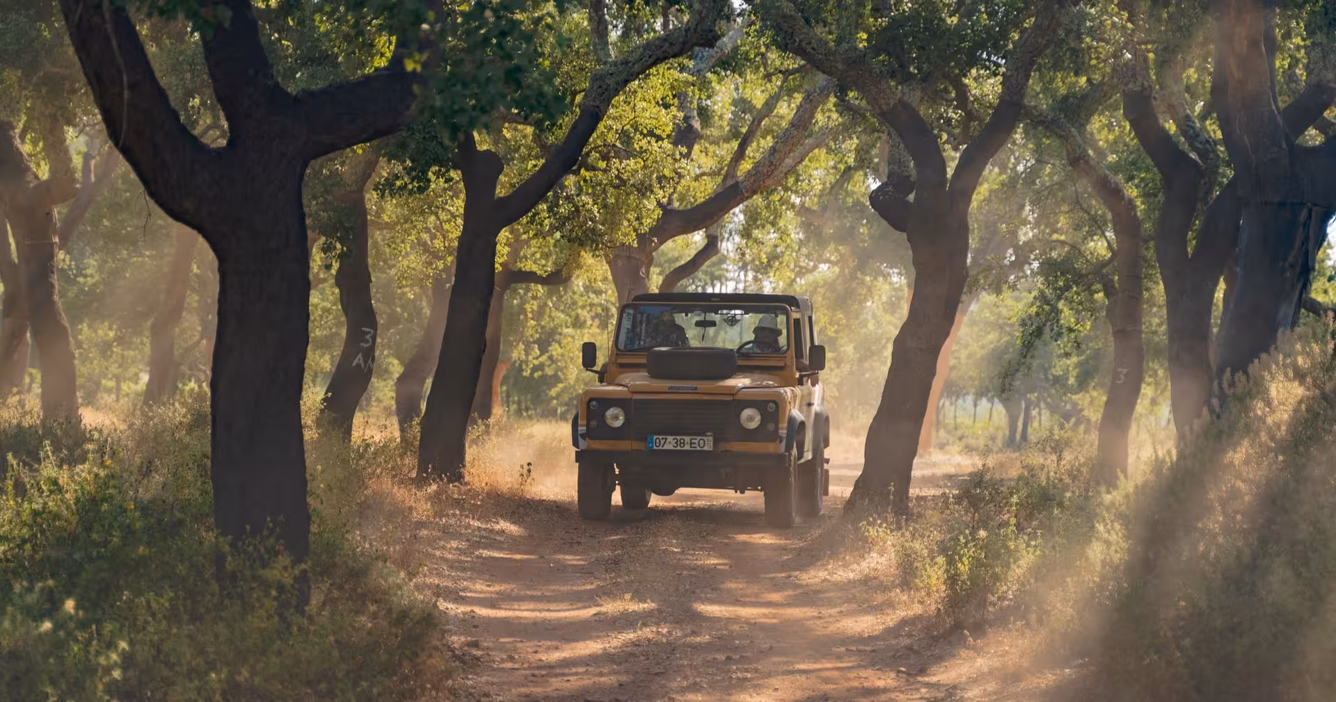 Open-top 4x4 jeep driving a dusty forest track between cork oak trees on The Crafts & Mountains Journey adventure