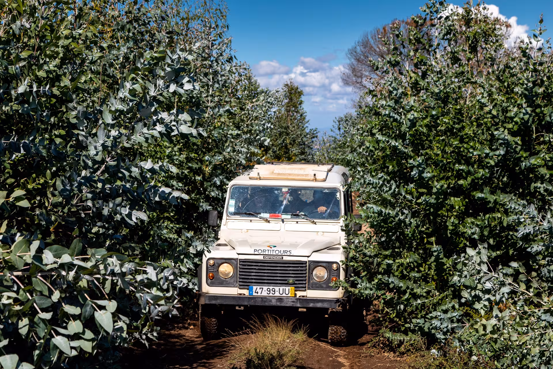 4x4 jeep safari driving off-road through dense green forest trail under blue sky on an adventurous Madeira island tour