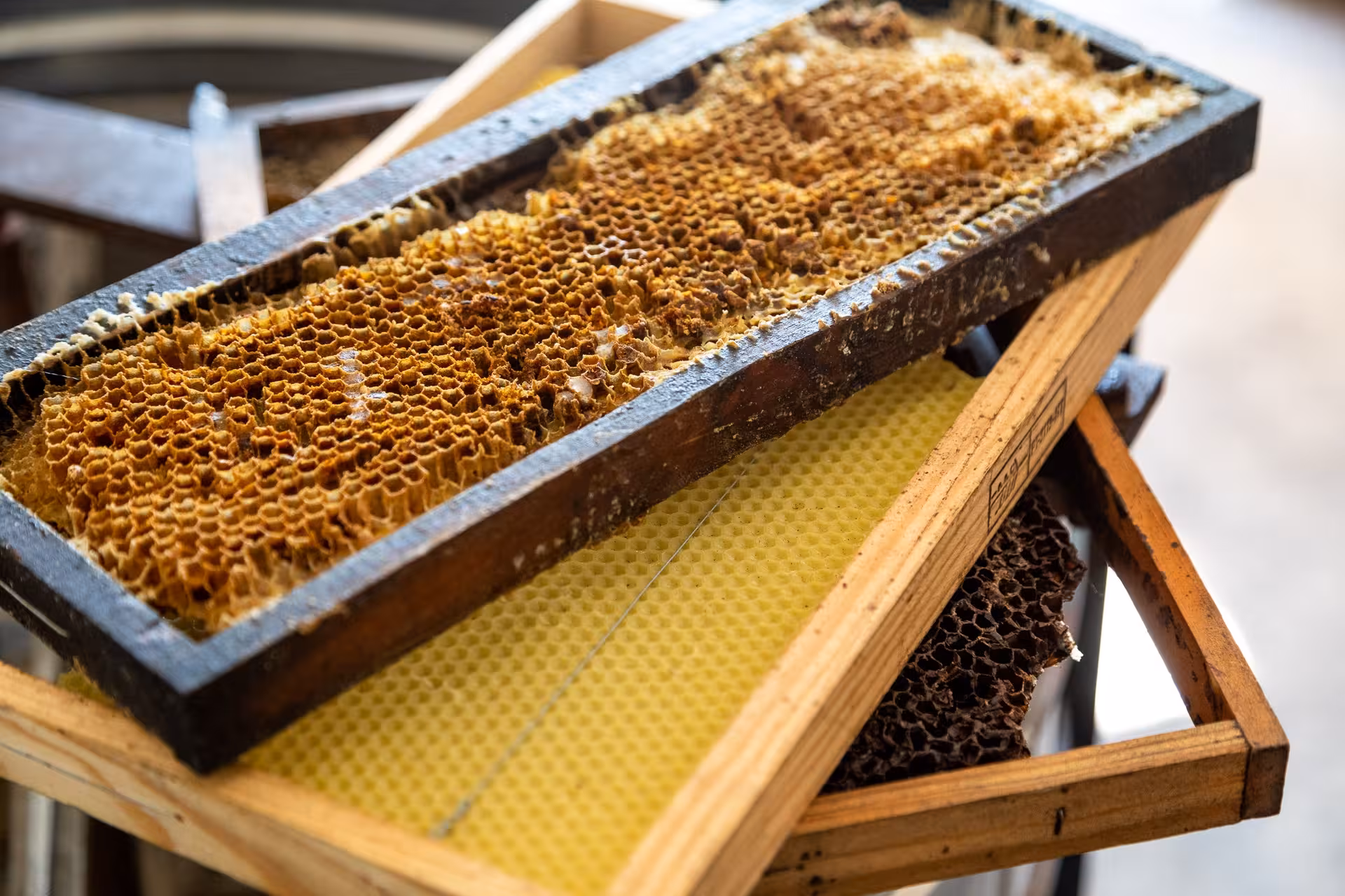 Close-up of honeycomb frames and beeswax at a traditional Cretan apiary visited on an off-road jeep safari tour