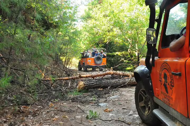 Jeep convoy maneuvering through forested path with fallen tree on Kusadasi safari adventure.