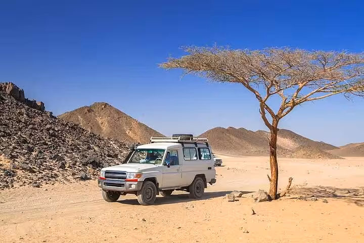 4x4 jeep safari in Marsa Alam desert, parked by acacia tree with rugged mountains and sand plains